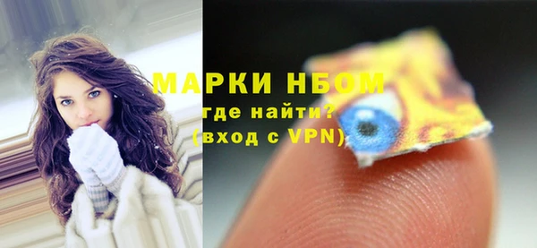амф Гусев
