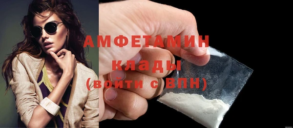 амф Гусев