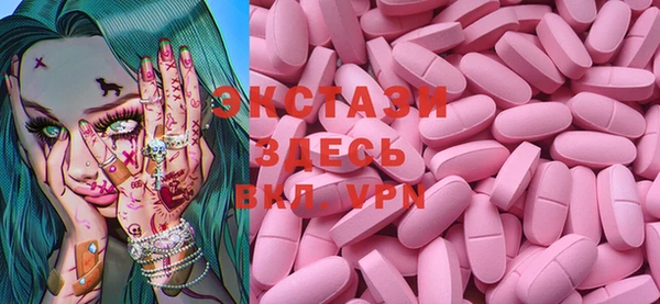 амф Гусев