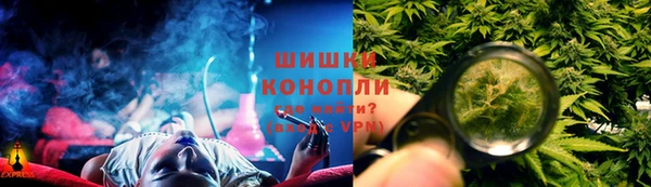 амф Гусев