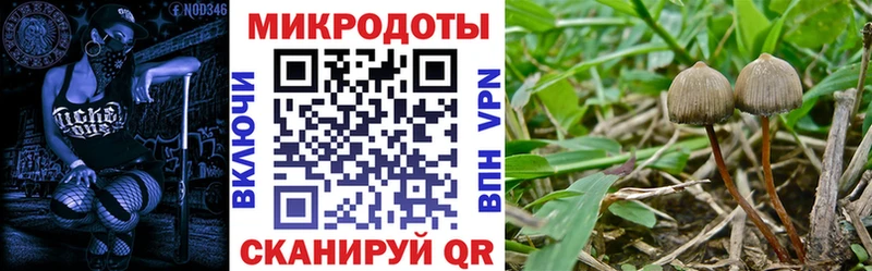 Галлюциногенные грибы Magic Shrooms  shop Telegram  Прокопьевск 